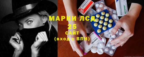 прущие грибы Вязьма