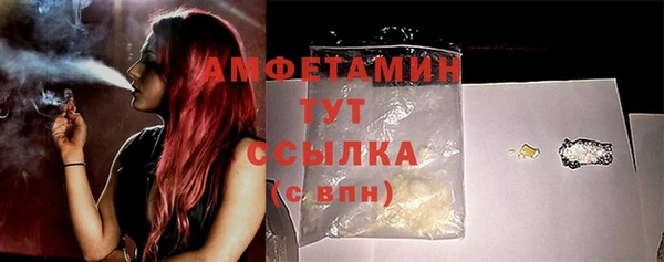 стафф Вяземский