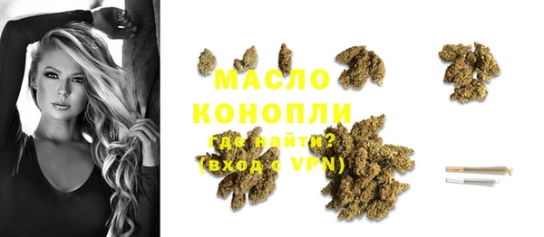 прущие грибы Вязьма