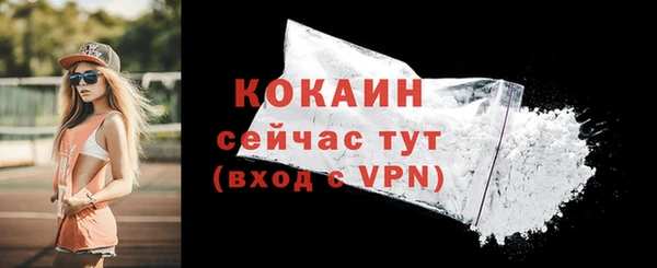 ПСИЛОЦИБИНОВЫЕ ГРИБЫ Вязники