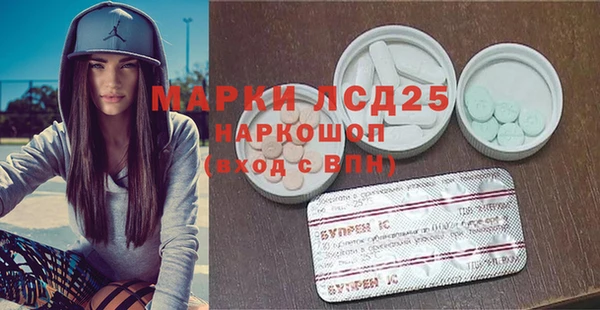 ПСИЛОЦИБИНОВЫЕ ГРИБЫ Вязники