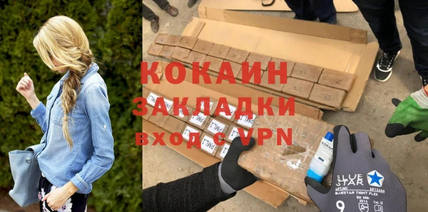 прущие грибы Вязьма