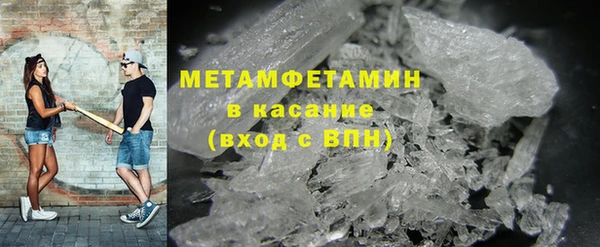 прущие грибы Вязьма