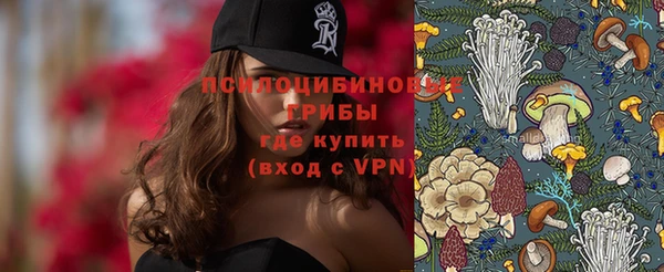 ПСИЛОЦИБИНОВЫЕ ГРИБЫ Вязники