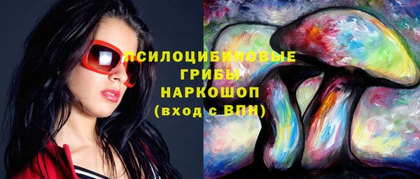 стафф Володарск