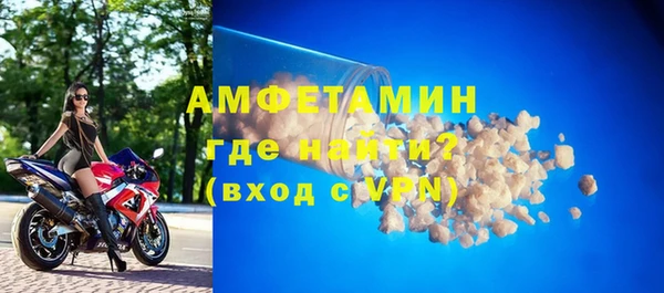 прущие грибы Вязьма