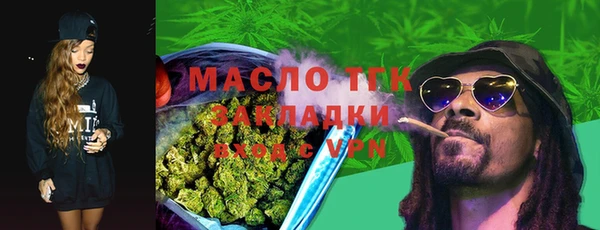 прущие грибы Вязьма