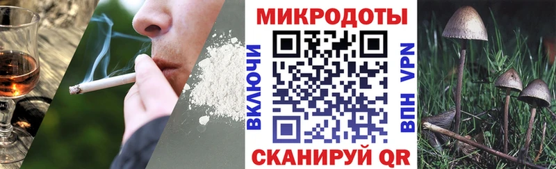 Галлюциногенные грибы Magic Shrooms  где найти наркотики  Нальчик 